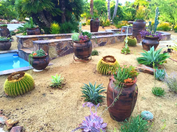 Desert garden with pots, cactus and a stone-edged pool