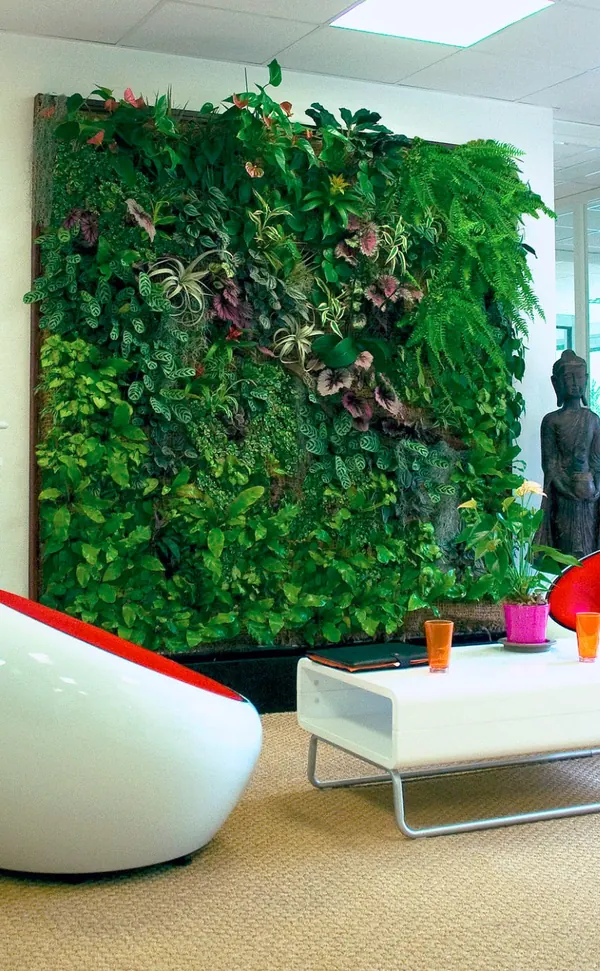 Living wall of ferns and foliage in a bright office lounge