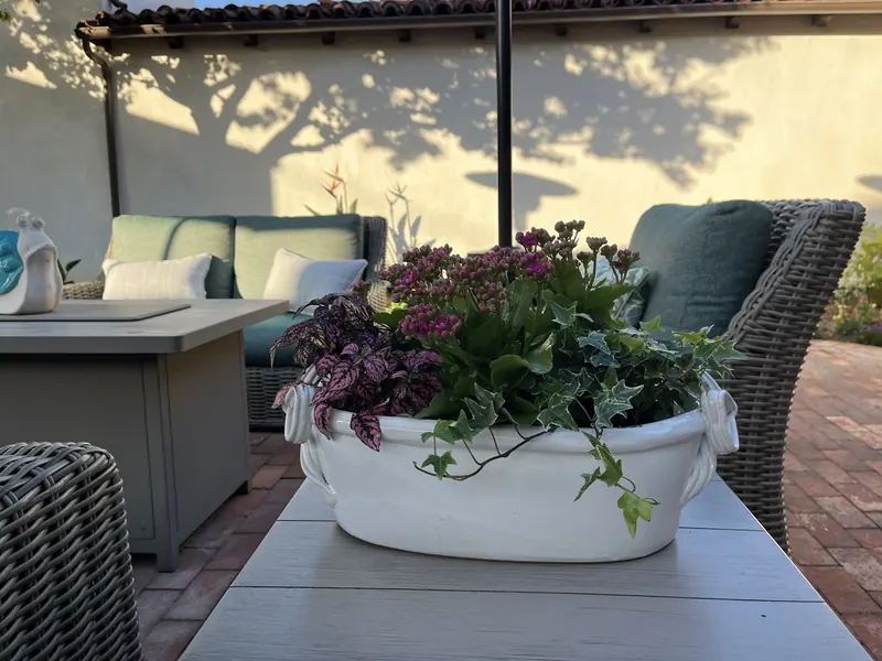 Tall zinc planter with dark foliage, silver trailing plants and orange blooms beside patio chairs