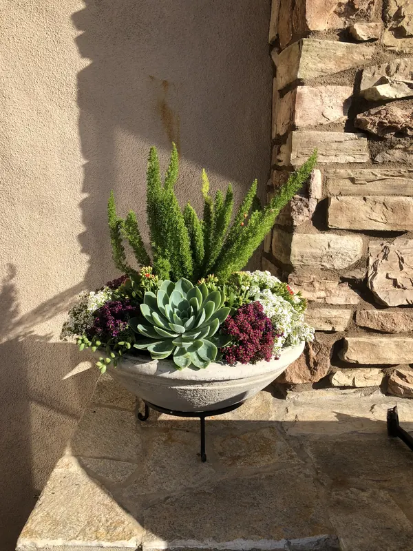 Succulent bowl in front of a stacked stone wall